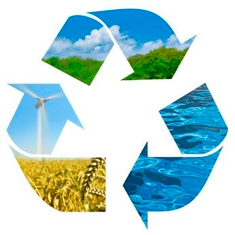 Sostenibilidad con el medio hambiente e instalacion de plataformas flotantes
